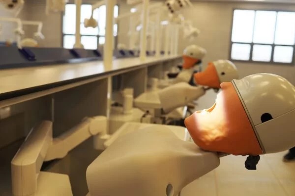 Dental-lab3-scaled-600x400