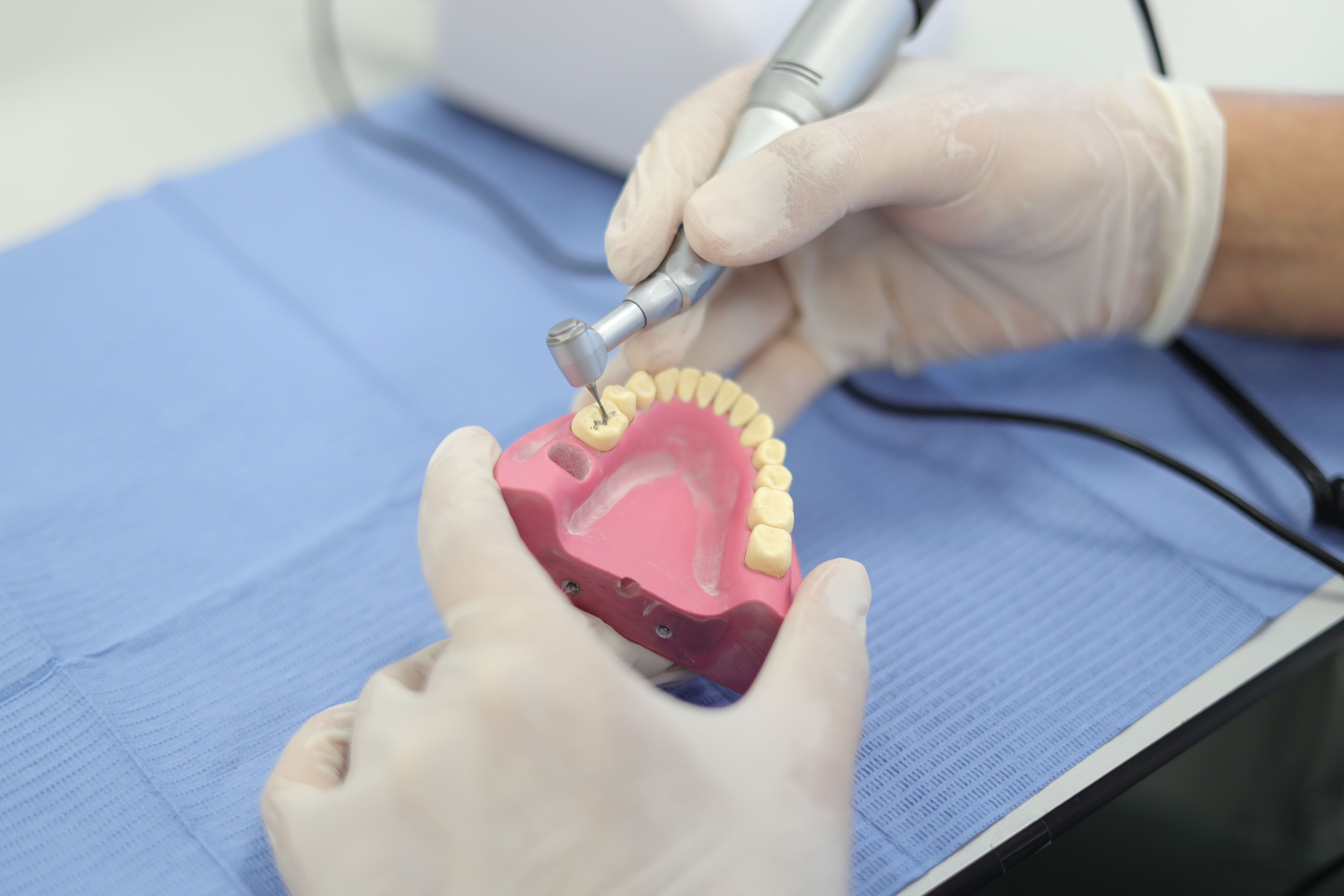 Model + Dental College Lab (15) (1)